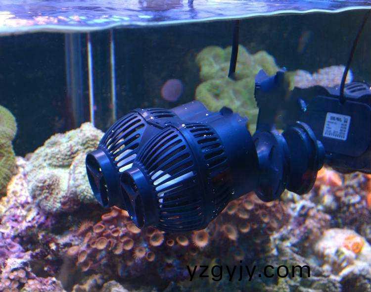 水族造浪(lang)泵(beng)電(dian)機(jī)(ji)-魚(yu)缸造流(liu)泵電(dian)機(jī)(ji)解(jie)決方案(an)-萬至達(dá)電(dian)機(jī)(ji)