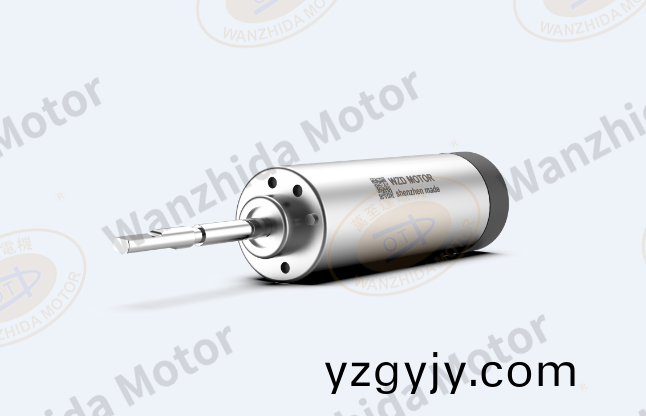 掃(sao)振(zhen)電動(dòng)牙刷無(wú)(wu)刷(shua)伺服電(dian)機(jī)解決(jue)方案(an)_WZD-EM1745A無(wú)(wu)刷電機(jī)-萬(wàn)至達(dá)(da)電(dian)機(jī)(ji)