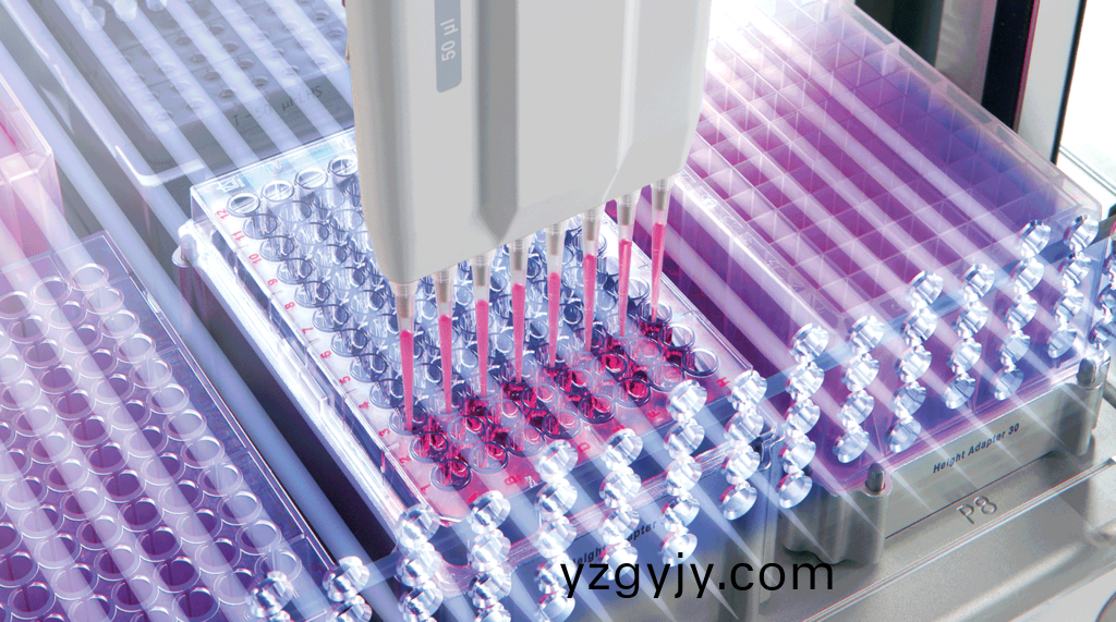 空(kong)心桮(bei)電(dian)機(jī)在迻(yi)液(ye)器領(lǐng)(ling)域(yu)的創(chuàng)新應(yīng)(ying)用與(yu)技術(shù)突破