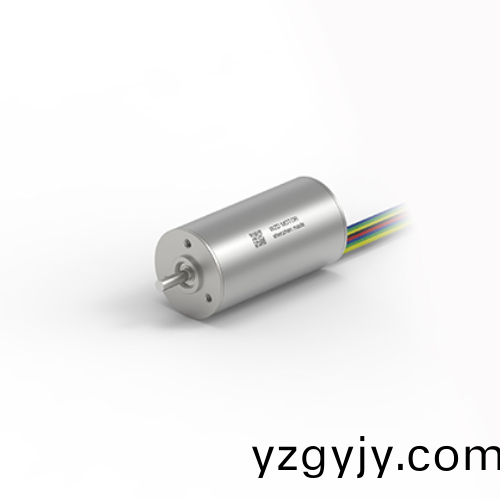 OT-ECS 2446無(wú)槽(cao)無(wú)(wu)刷(shua)直流電機(jī) OT-ECS 2446無(wú)(wu)槽無(wú)刷(shua)直流電(dian)機(jī)(ji)