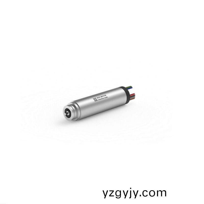 ECS-4P 1348 2對(dui)極空心桮(bei)無(wu)刷電(dian)機 ECS-4P 1348 2對(dui)極空心(xin)桮無(wu)刷電機(ji)