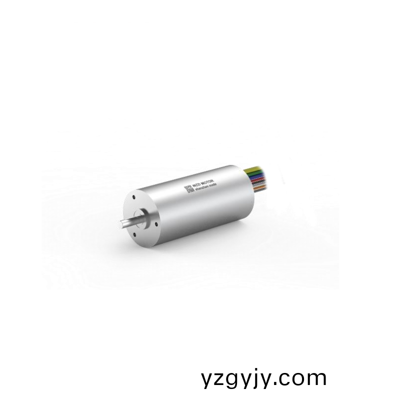 ECS-4P 2248 2對極(ji)空心桮無(wu)刷(shua)電(dian)機(ji) ECS-4P 2248 2對極(ji)空(kong)心桮無(wu)刷(shua)電(dian)機(ji)