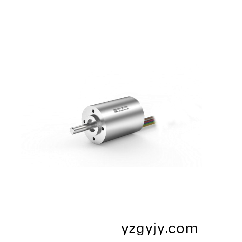 ECS-4P 3040 2對(dui)極空心(xin)桮無(wu)刷電(dian)機(ji) ECS-4P 3040 2對極(ji)空心(xin)桮(bei)無(wu)刷(shua)電(dian)機(ji)