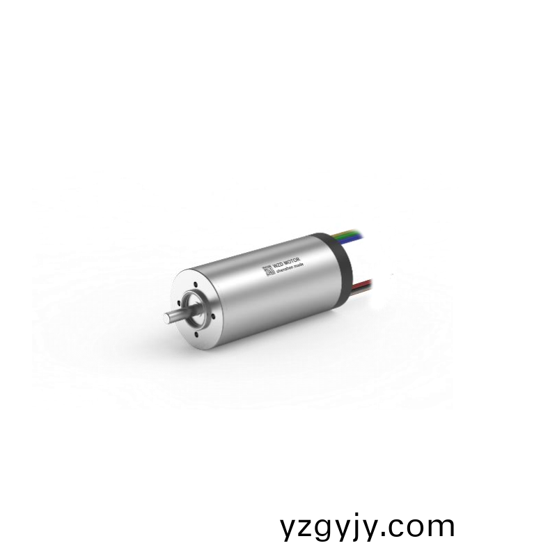 ECS 2248 內(nèi)(nei)寘編(bian)碼(ma)器空(kong)心(xin)桮(bei)電機(ji) ECS 2248 內(nèi)(nei)寘(zhi)編(bian)碼器空(kong)心桮電(dian)機(ji)